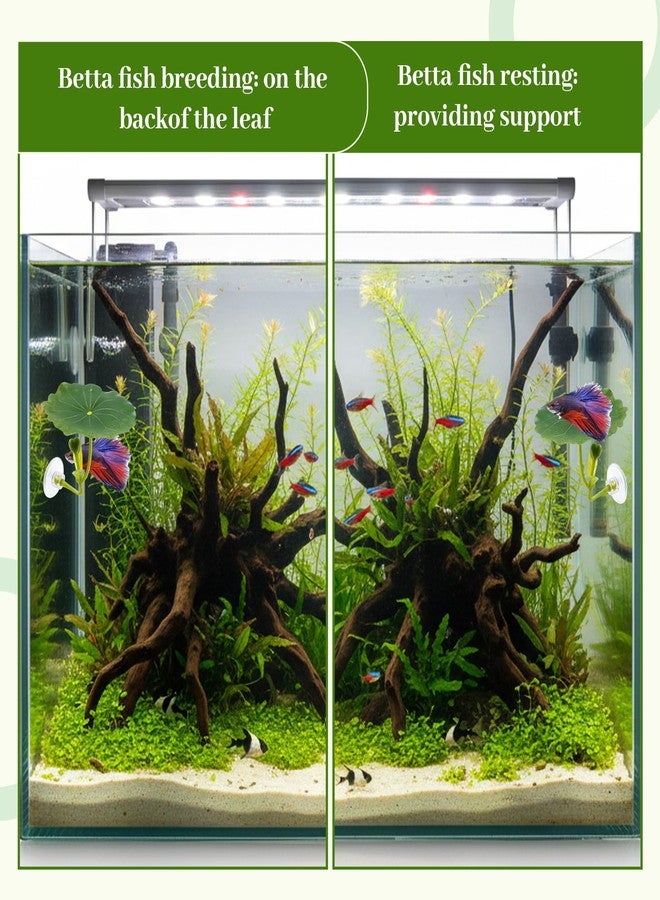 CZFSWT 4PCS Betta Hammock Set, Betta Tank Accessories, Fish Hammock Suitable for Fish Farmers, Aquarium Enthusiasts and First-Time Breeders - Image 5